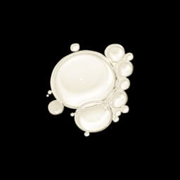 Skin Therapy – Multi-Perfecting Night Oil-Serum